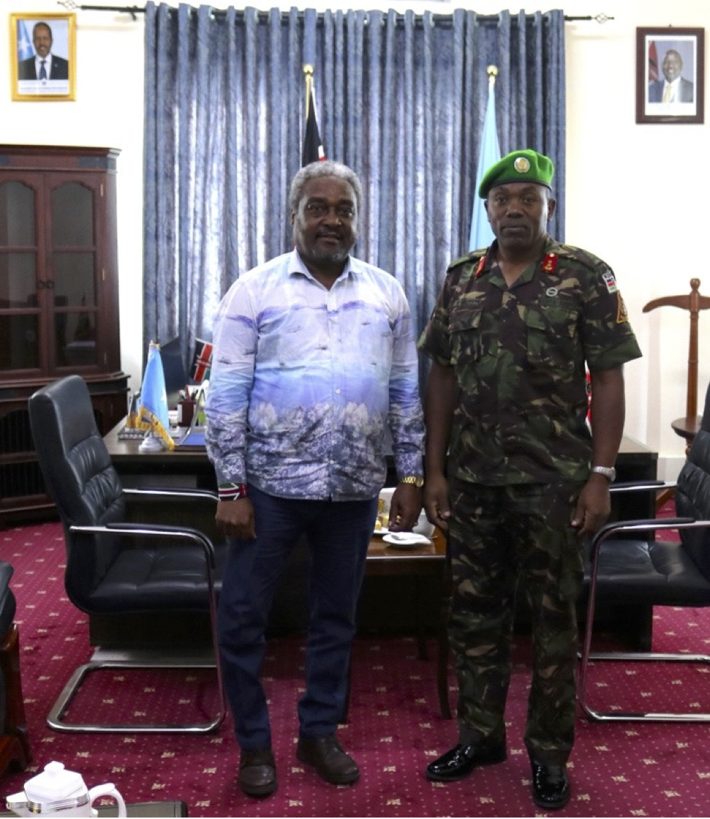 Meeting between the Deputy Force Commander and the Ambassador-Designate